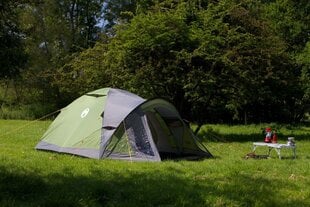 Палатка Coleman Darwin 3 Plus цена и информация | Палатки | kaup24.ee