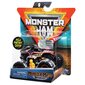 Maastur Monster Jam 1:64, üks pakendis, 6044941 hind ja info | Poiste mänguasjad | kaup24.ee