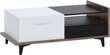 Kohvilaud Meblocross Box 03 2D2S, pruun/valge hind ja info | Diivanilauad | kaup24.ee