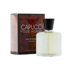 Tualettvesi Roberto Capucci Pour Homme 100 ml hind ja info | Meeste parfüümid | kaup24.ee