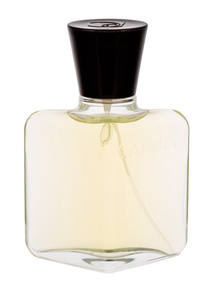 Tualettvesi Roberto Capucci Pour Homme 100 ml hind ja info | Meeste parfüümid | kaup24.ee