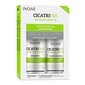 Kahjustatud juuksehooldusvahendite komplekt INOAR CicatriFios Duo Kit: šampoon 250 ml + juuksepalsam 250 ml hind ja info | Šampoonid | kaup24.ee