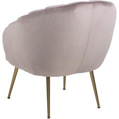 Кресло Daniella, розовое цена и информация | Кресла в гостиную | kaup24.ee
