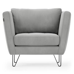 Кресло Homede Deltin, серое цена и информация | Кресла в гостиную | kaup24.ee