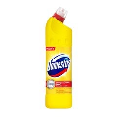 Domestos Citrus tualettruumi puhastusvahend, 1250ml, 6 tk hind ja info | Puhastusvahendid | kaup24.ee