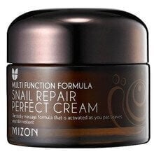 Крем с улиточным экстрактом Mizon Multifunction Formula Snail Repair Perfect 50 мл цена и информация | Кремы для лица | kaup24.ee