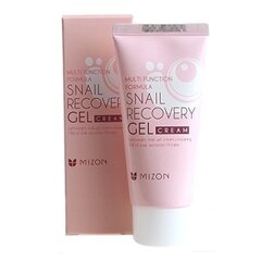 Гель-крем для лица с экстрактом улитки Mizon Snail Recovery Gel 45 мл цена и информация | Кремы для лица | kaup24.ee