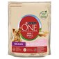 Purina One Mini Delicate väikest tõugu koertele lõhe ja riisiga, 800 g цена и информация | Kuivtoit koertele | kaup24.ee