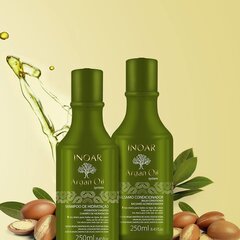 Niisutav juuksehooldustoodete komplekt argaaniaõliga INOAR Argan Duo Kit: šampoon 250 ml + palsam 250 ml цена и информация | Шампуни | kaup24.ee