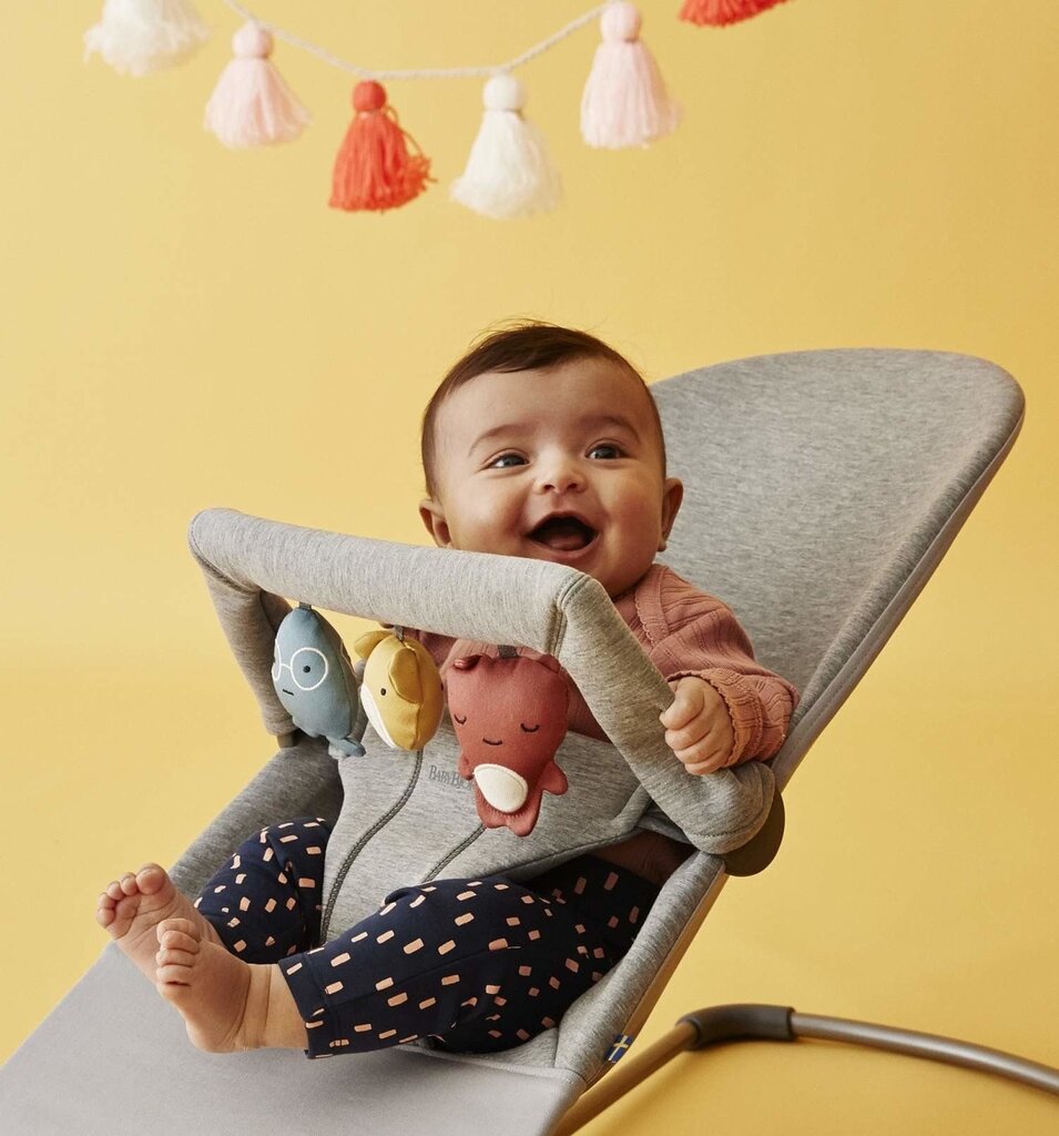 Babybjörn lamamistool Bliss Bundle Light Grey, 3D Jersey/toy цена и информация | Beebi lamamistoolid | kaup24.ee