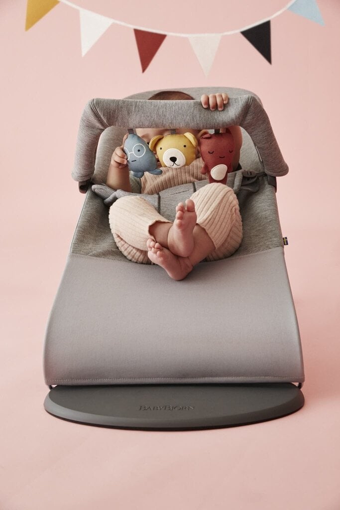 Babybjörn lamamistool Bliss Bundle Light Grey, 3D Jersey/toy hind ja info | Beebi lamamistoolid | kaup24.ee