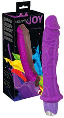 Vibraator Colorful Joy Purple hind ja info | Vibraatorid | kaup24.ee