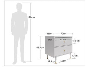 Тумбочка Cosmoliving by Cosmopolitan Elizabeth, серая цена и информация | Прикроватные тумбочки | kaup24.ee