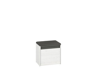 Обувной шкаф Hyga 01, белый/серый цена и информация | Полки для обуви, банкетки | kaup24.ee