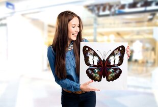 Pilt Müstiline liblikas, 40x40 cm. hind ja info | Seinapildid | kaup24.ee