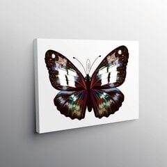 Pilt Müstiline liblikas, 50x50 cm. hind ja info | Seinapildid | kaup24.ee