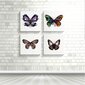 Pilt Müstiline liblikas, 100x100 cm. цена и информация | Seinapildid | kaup24.ee