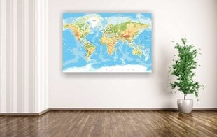 Korgist pilt - Geograafiline maailmakaart nööpnõeltega [Korgist maakaart], 100x50 cm. цена и информация | Настенные деревянные декорации | kaup24.ee