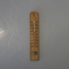 Termomeeter Axentia, 20 cm цена и информация | Метеорологические станции, термометры | kaup24.ee