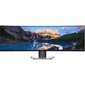 49 UltraWide Dual Quad HD LED LCD monitor DELL U4919DW : 210-ARGK/P2 цена и информация | Monitorid | kaup24.ee