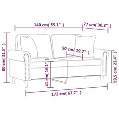 2-kohaline diivan patjadega, helehall, 140 cm, samet цена и информация | Диваны | kaup24.ee