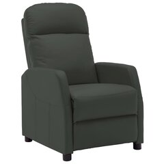 Откидное кресло, серое цена и информация | Кресла в гостиную | kaup24.ee