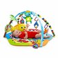 Mängumatt Baby Einstein Rhythm of the Reef Play Gym™ цена и информация | Tegelustekid | kaup24.ee