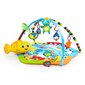 Mängumatt Baby Einstein Rhythm of the Reef Play Gym™ цена и информация | Tegelustekid | kaup24.ee