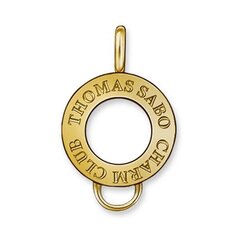 Женский кулон Thomas Sabo X0184-413-12 (1,5 cм) цена и информация | Украшения на шею | kaup24.ee