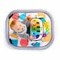 Tegelustekk Baby Einstein 4-in-1 Kickin' Tunes™ цена и информация | Tegelustekid | kaup24.ee