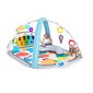 Tegelustekk Baby Einstein 4-in-1 Kickin' Tunes™ hind ja info | Tegelustekid | kaup24.ee