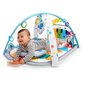 Tegelustekk Baby Einstein 4-in-1 Kickin' Tunes™ цена и информация | Tegelustekid | kaup24.ee