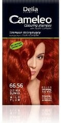 Tooniv šampoon Delia Camelio 40 g, 66.56 Wild Plum hind ja info | Šampoonid | kaup24.ee