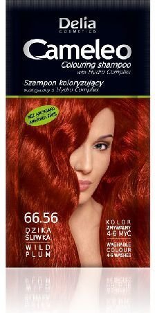 Tooniv šampoon Delia Camelio 40 g, 66.56 Wild Plum цена и информация | Šampoonid | kaup24.ee