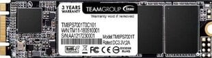 Team Group TM8PS7001T0C101 hind ja info | Sisemised kõvakettad (HDD, SSD, Hybrid) | kaup24.ee