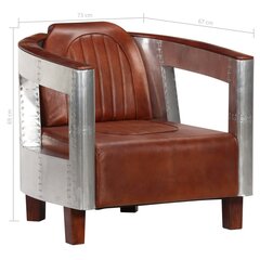 Кресло Aviator, коричневое цена и информация | Кресла в гостиную | kaup24.ee