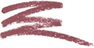 Huulepliiats Wet n Wild Coloricon 1,4 g, Brandy Wine цена и информация | Помады, бальзамы, блеск для губ | kaup24.ee