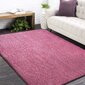 Libisemiskindel vaip Shaggy roosa, 80x150cm hind ja info | Vaibad | kaup24.ee