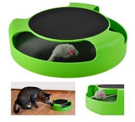 Mänguasi kassile ring koos hiirega hind ja info | Mänguasjad kassidele | kaup24.ee