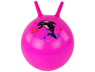 Jumper hüppepall 45 cm roosa delfiiniga hind ja info | Mänguasjad (vesi, rand ja liiv) | kaup24.ee