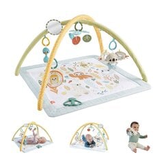 Fisher-Price® muusika ja valgusega saarma mängumatt hind ja info | Mähkmed | kaup24.ee