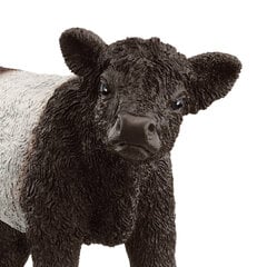 SCHLEICH FARM WORLD Galloway vasikas hind ja info | Arendavad mänguasjad | kaup24.ee