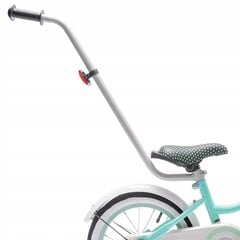 Детский велосипед SB Heart 14", синий цена и информация | Балансировочные велосипеды | kaup24.ee
