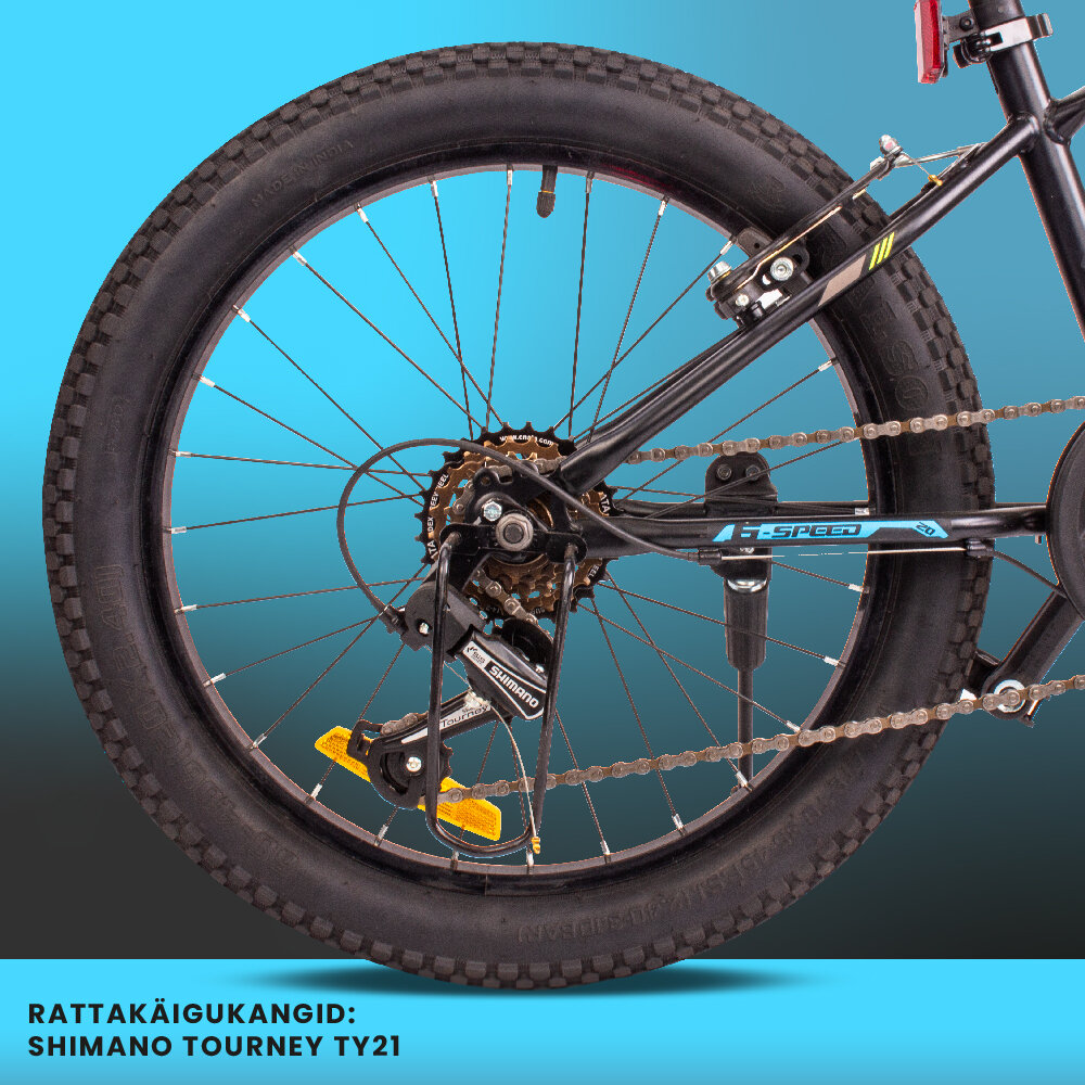 20-tolline poiste kerge MTB jalgratas Shimano 6 käiguga Tiger Bike цена и информация | Jalgrattad | kaup24.ee