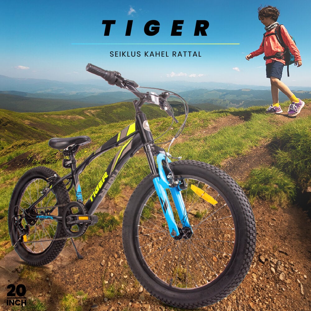 20-tolline poiste kerge MTB jalgratas Shimano 6 käiguga Tiger Bike цена и информация | Jalgrattad | kaup24.ee