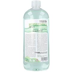 Hydroalcoholic solution Egalle (1000 ml) hind ja info | Dušigeelid, õlid | kaup24.ee