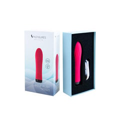 Вибратор в форме пули S Pleasures Розовый (13,7 x 3,5 cm) цена и информация | Вибраторы | kaup24.ee