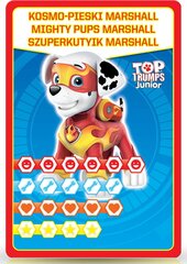 Карточная игра в коробке Paw Patrol Top Trumps цена и информация | Настольные игры, головоломки | kaup24.ee