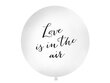 Suur õhupall 100 cm Love is in the air, valge hind ja info | Õhupallid | kaup24.ee