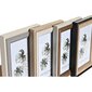 Fotoraam DKD Home Decor Hall Beež Pruun Valge Troopiline Puit MDF (15 x 1,5 x 20 cm) (4 Ühikut) цена и информация | Pildiraamid | kaup24.ee